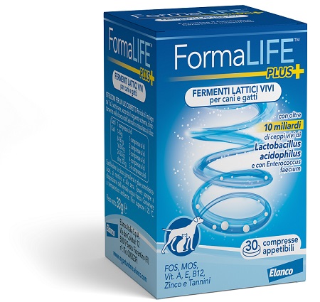 FORMALIFE PLUS FERMENTI LATTICI VIVI 30 COMPRESSE APPETIBILI - Farmacia Grosotto
